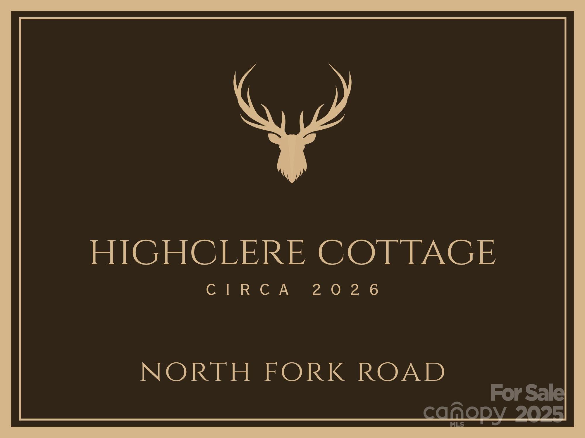 344 North Fork Road Black Mountain, NC 28711 - Photo 2 of 4