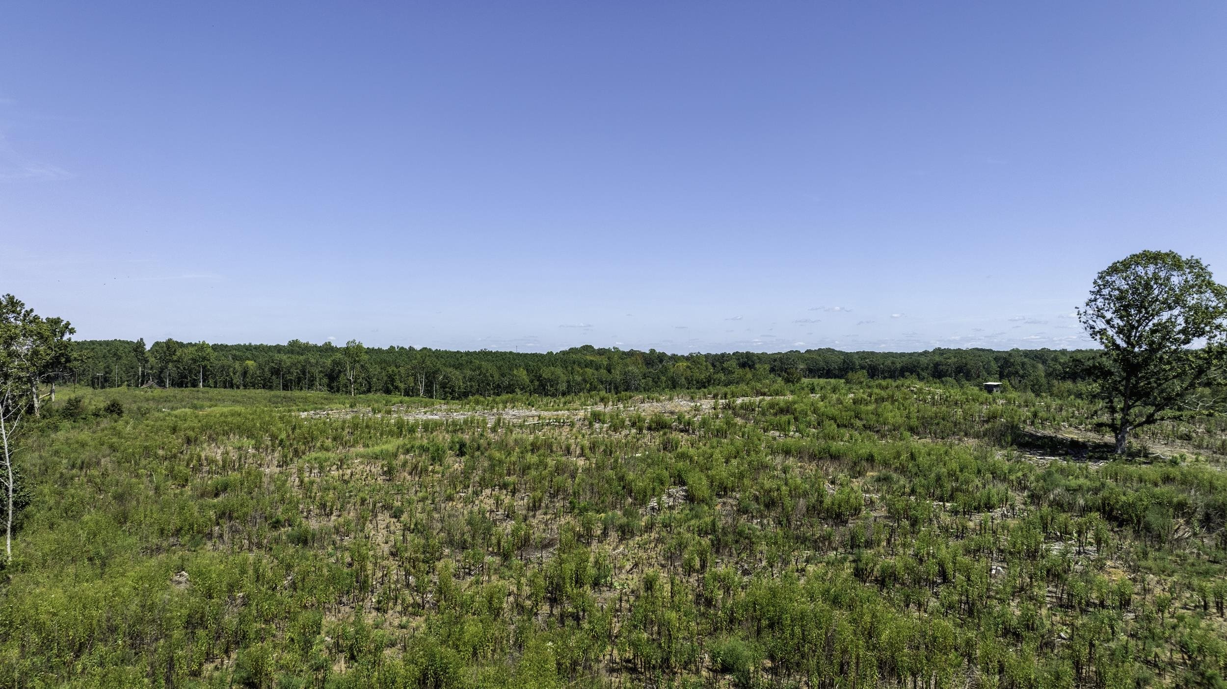 Cowens Bridge Road Gray Court, SC 29645 - Photo 22 of 24