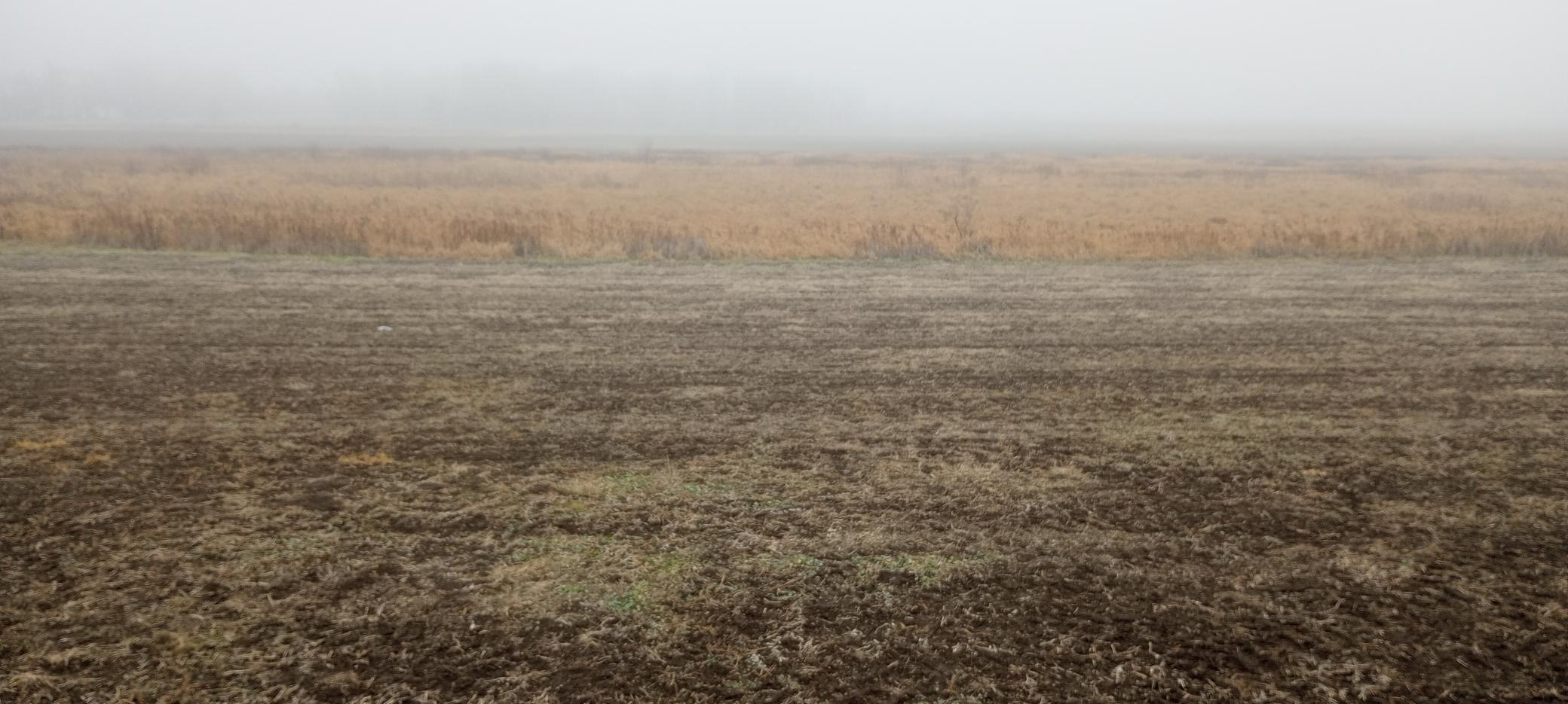 10 Long Prairie Long Prairie, MN 56347 - Photo 1 of 1 Gallery Image 1