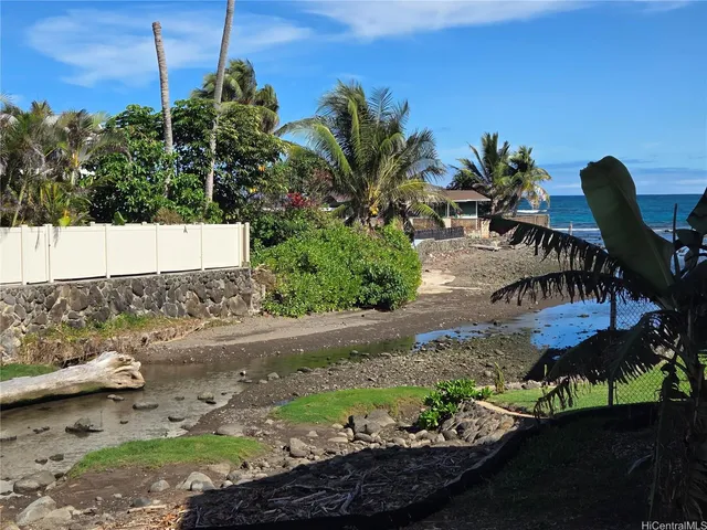 a view of a backyard with plants and a patio