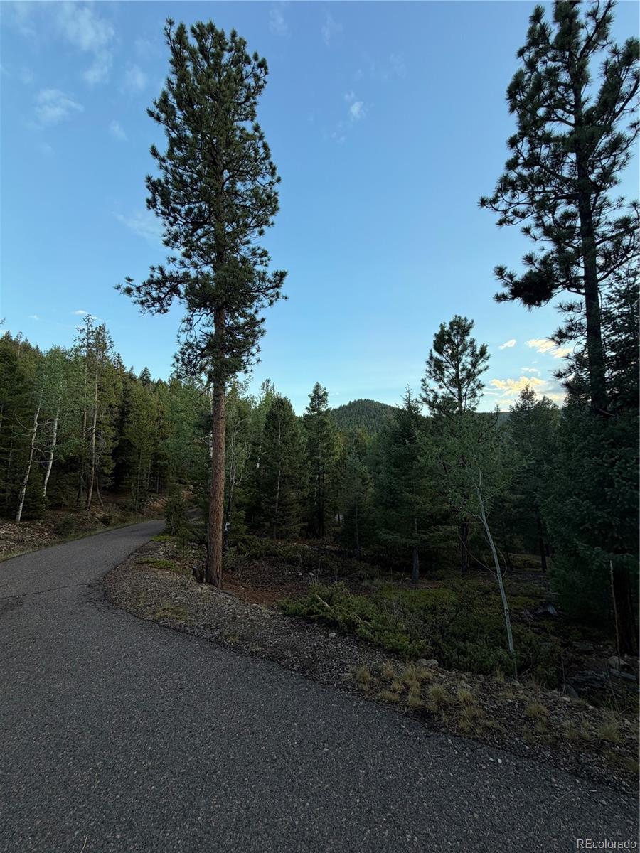 11223 Barney Gulch Road Conifer, CO 80433 - Photo 14 of 40 Gallery Image 14