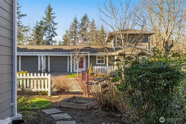 a view of backyard with plants and large trees