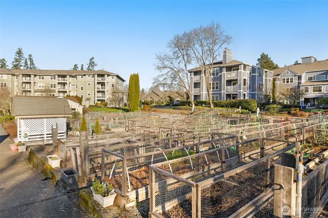 a view of yard with swimming pool and green space
