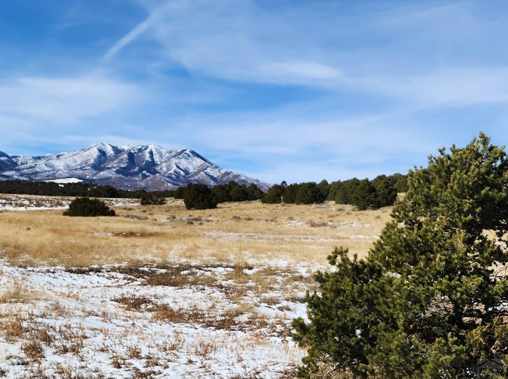 Tbd Tbd Commanche Road Walsenburg, CO 81089 - Photo 7 of 17 Gallery Image 7