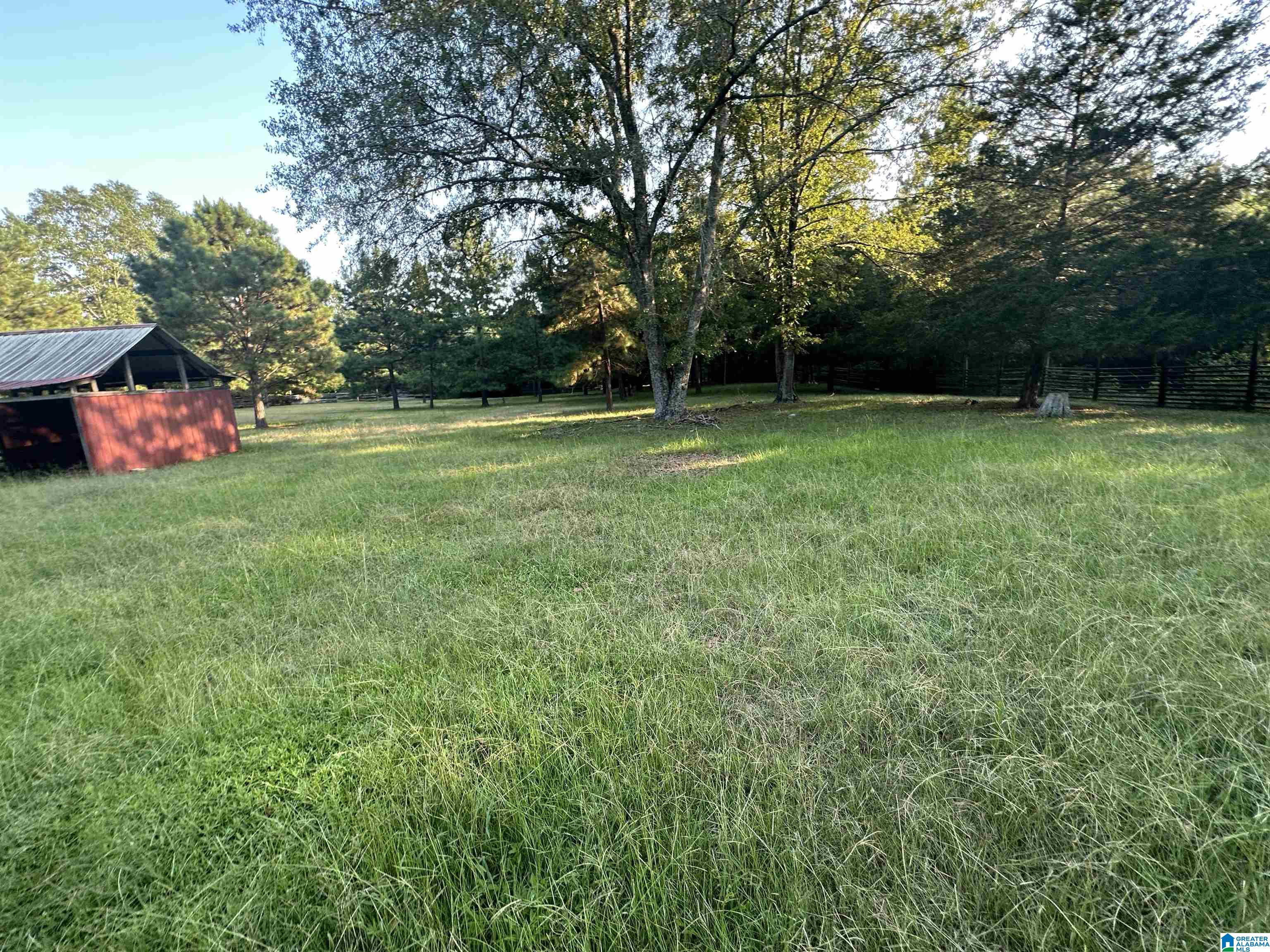 0 Honeycut Road Randolph, AL 36792 - Photo 18 of 29