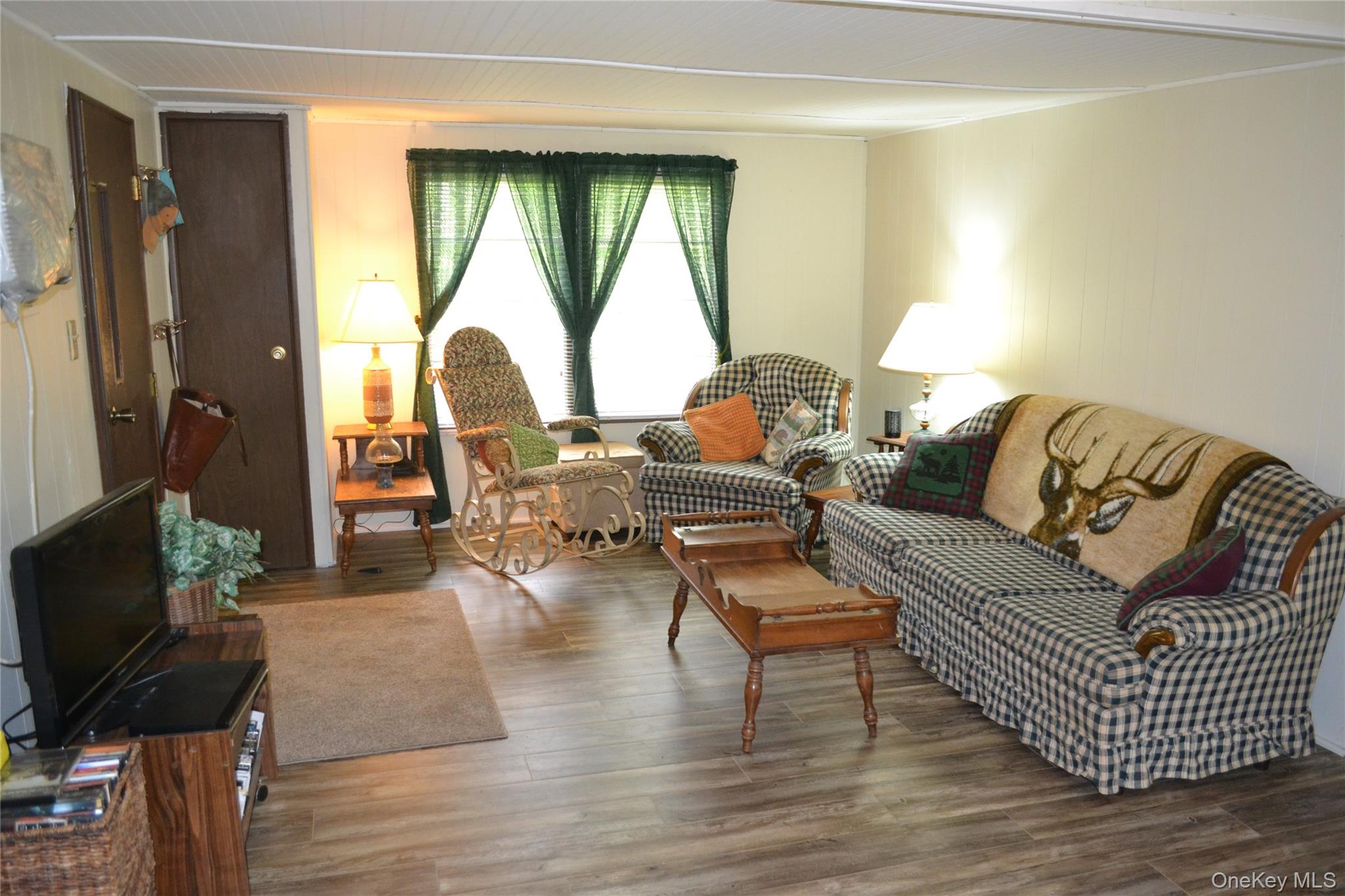 113 Lake Muskoday Road Roscoe, NY 12776 - Photo 3 of 27 Bright and sunny living room
