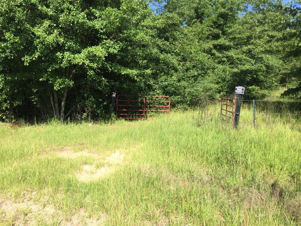 947 Blythe Road Hephzibah, GA 30815 - Photo 2 of 2