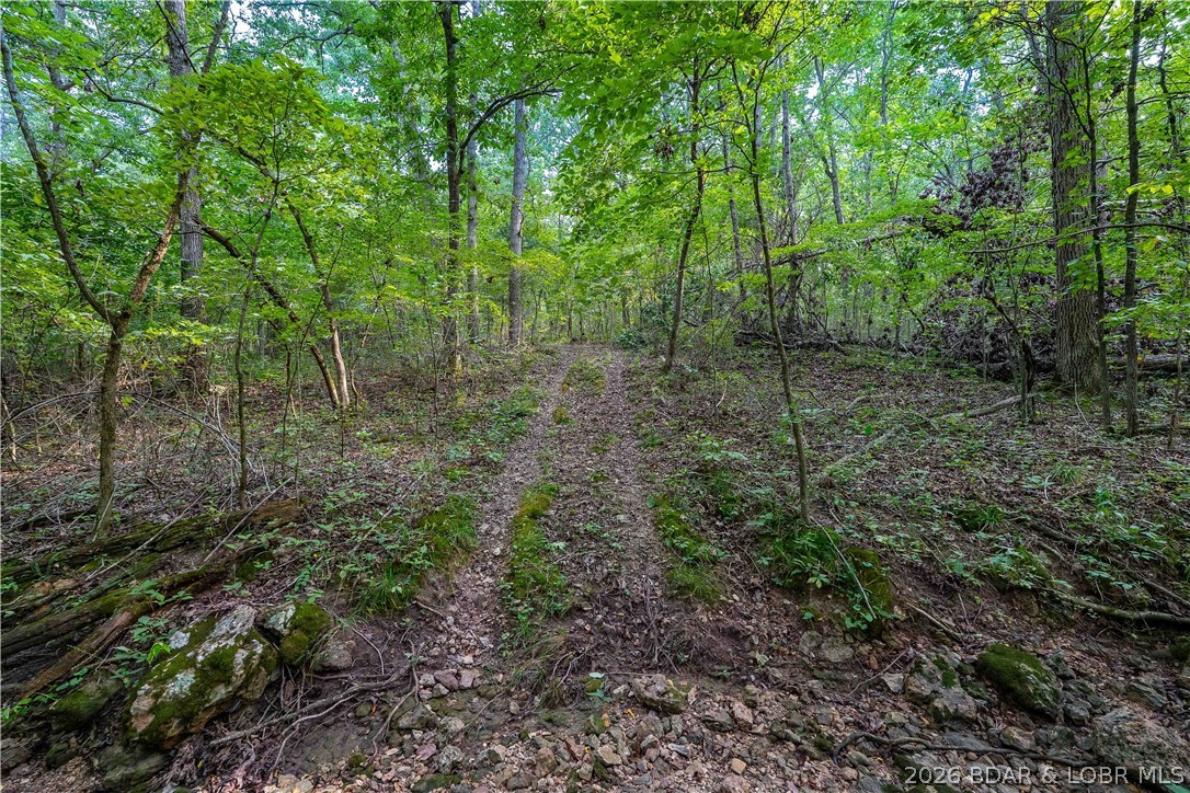 4864 Whispering Timbers Road Stover, MO 65078 - Photo 59 of 96 Gallery Image 59