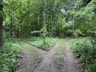 N7265 County Rd BB Spring Valley, WI 54767 - Photo 28 of 41