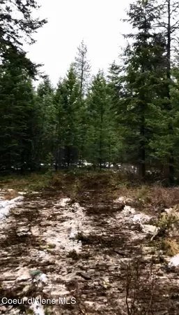 $174,900 | 2-3 4 Vermont Street, Spirit Lake, ID 83869