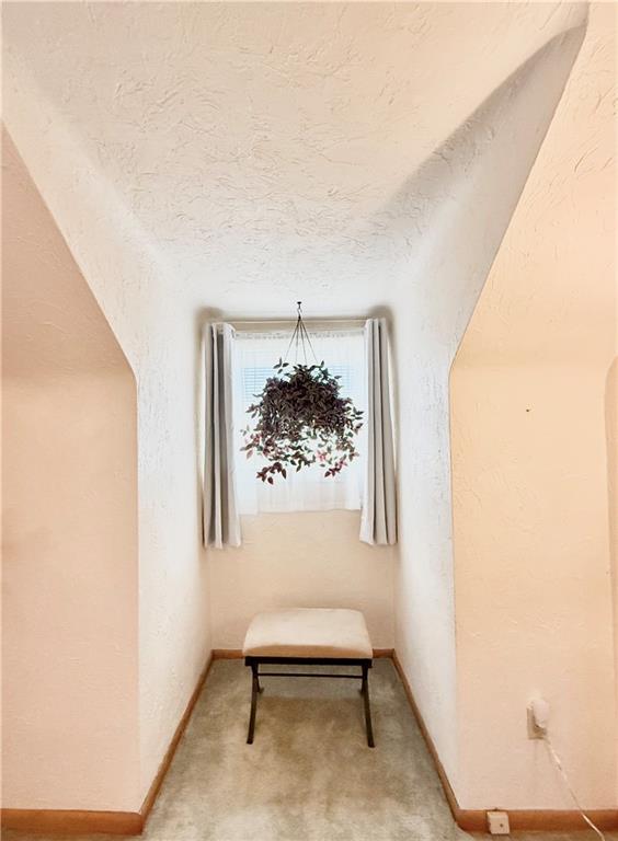 5114 McAnulty Road Pittsburgh, PA 15236 - Photo 45 of 46 Gallery Image 45