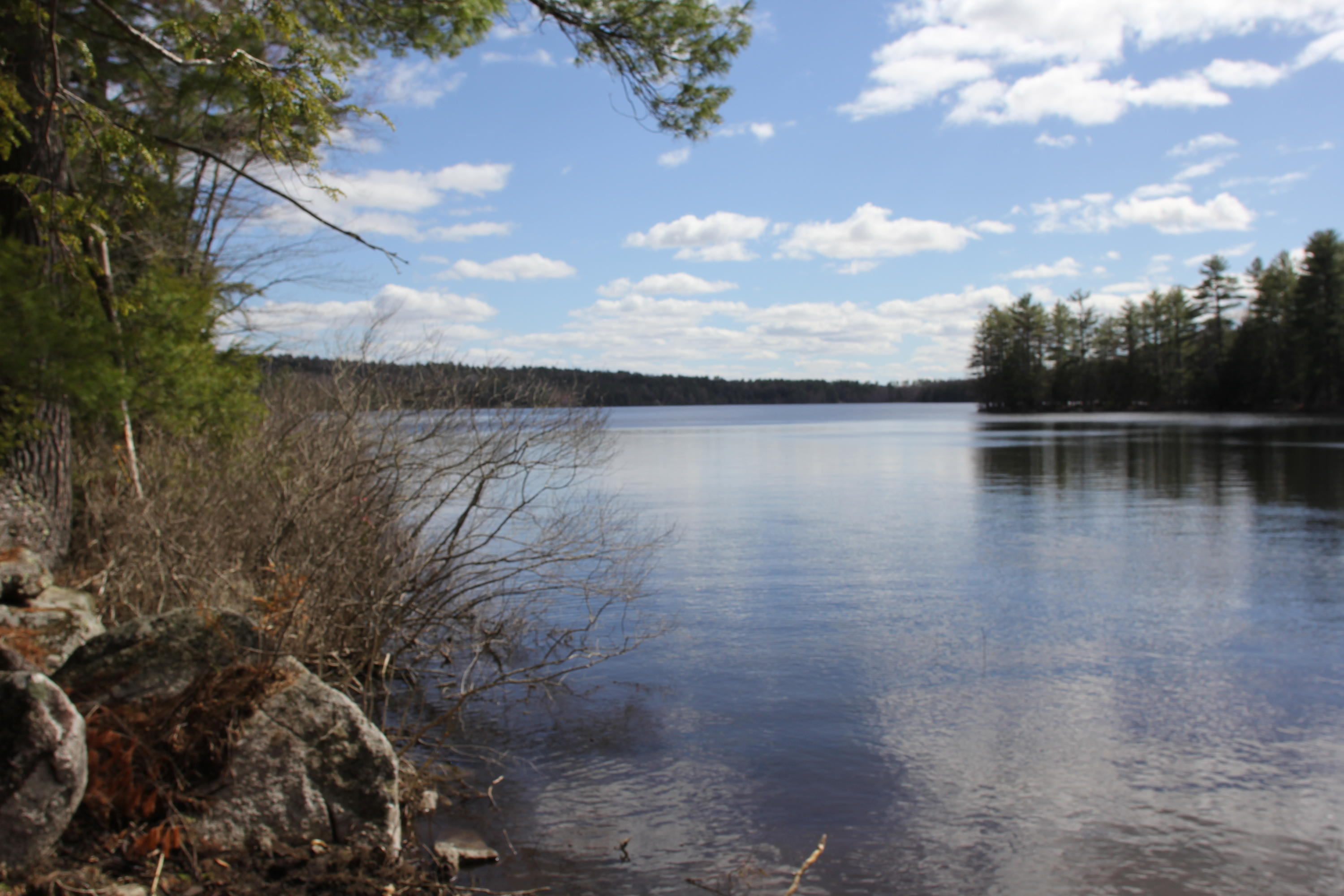 48 Pinnacle Road Canaan, ME 04924 - Photo 8 of 14 IMG_7513