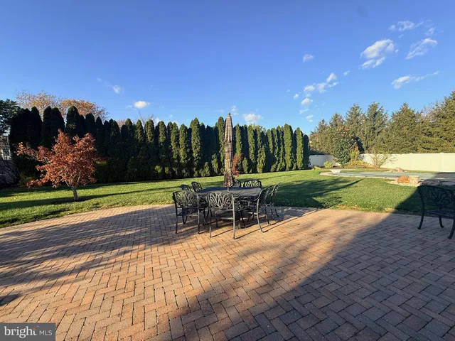 a view of a park with large trees