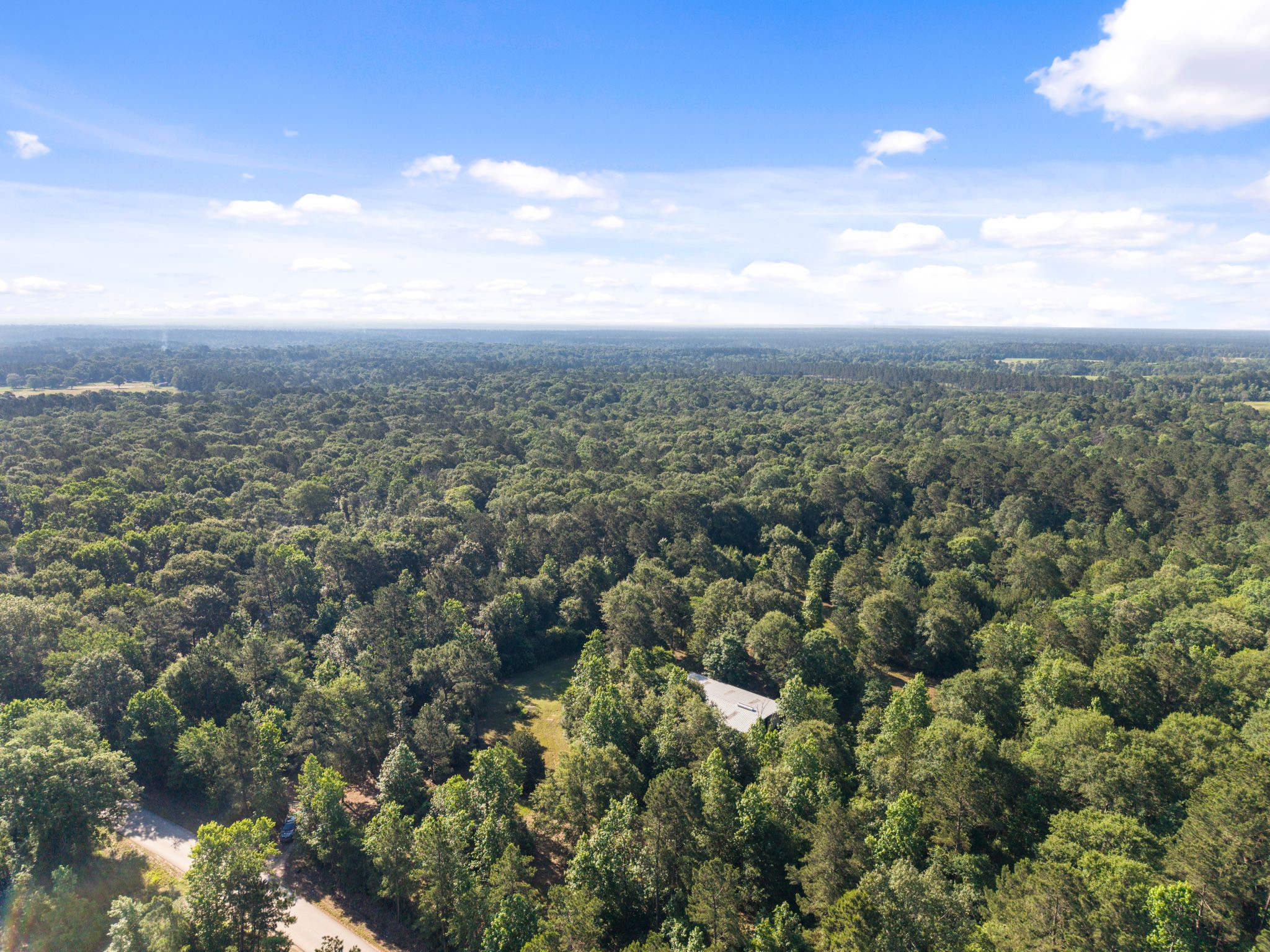 200 Spring Ridge Road Coldspring, TX 77331 - Photo 17 of 18 a view of a city with lush green forest