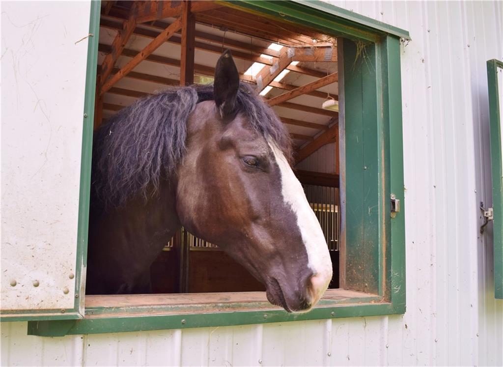 20 Old Sea Point Road Cape Elizabeth, ME 04107 - Photo 32 of 35 Horse storage