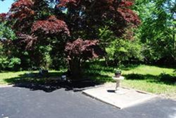 43 Filomena Street Weymouth, MA 02189 - Photo 15 of 16