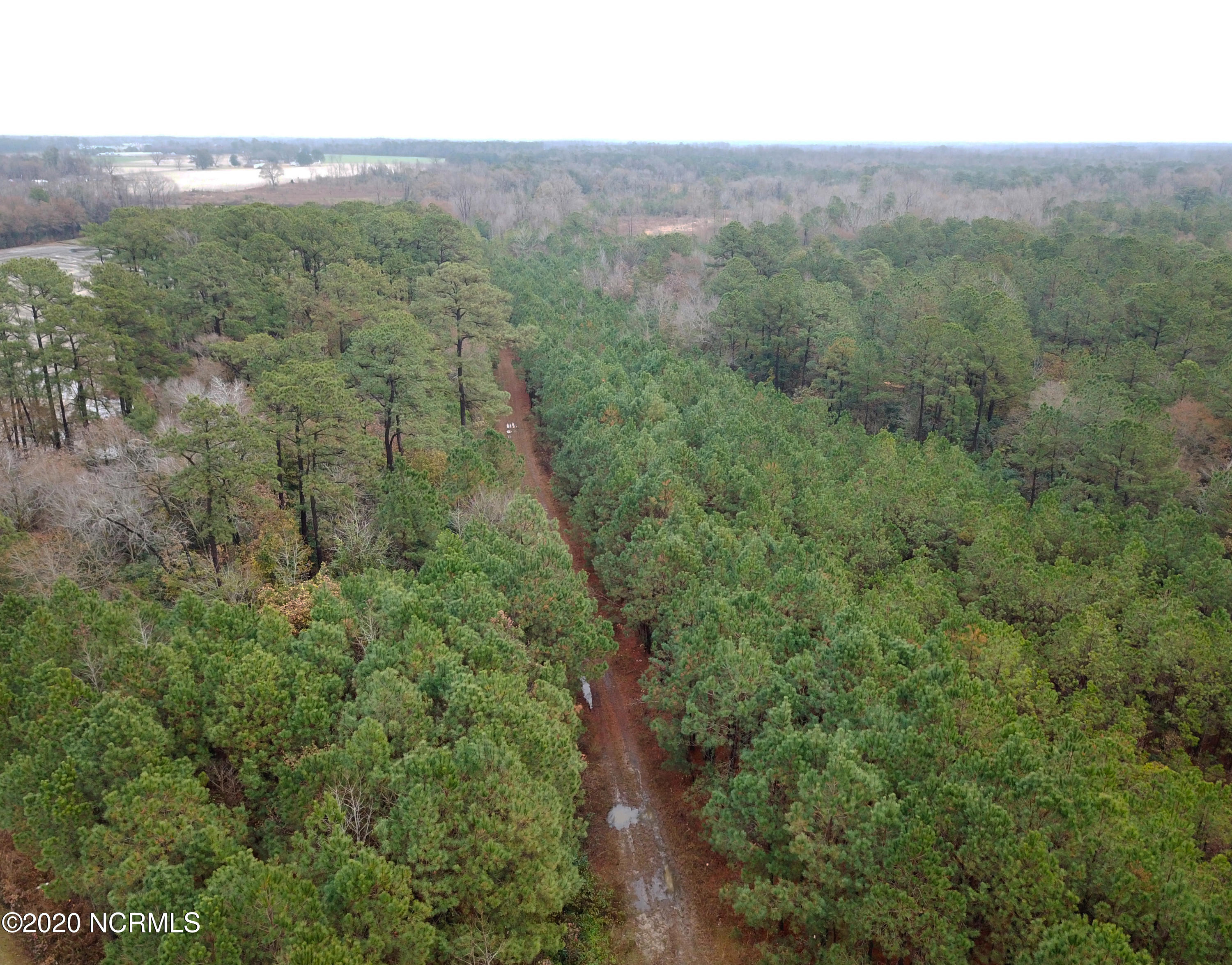0 Outlaws Bridge Road Albertson, NC 28508 - Photo 2 of 17 2