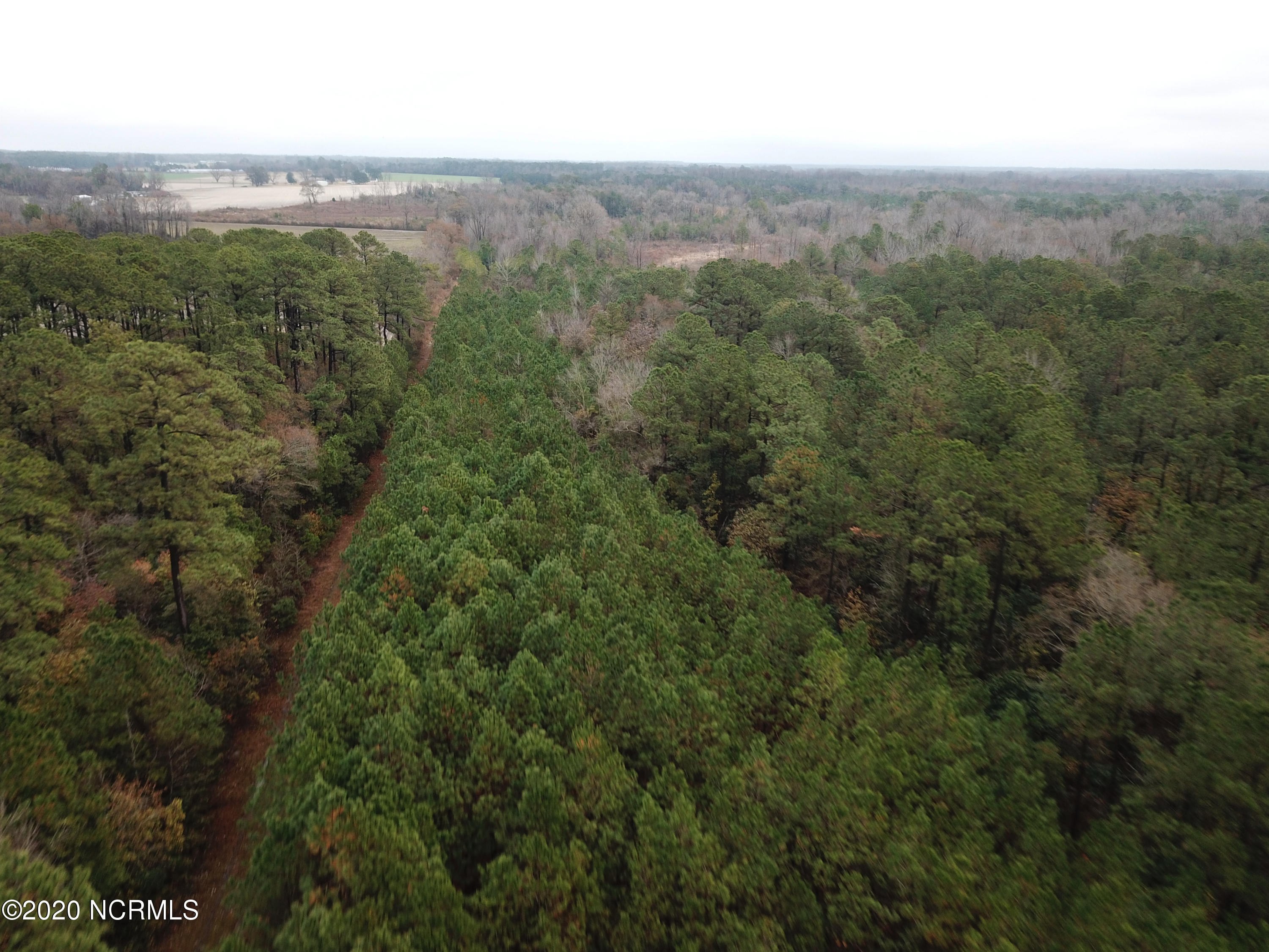 0 Outlaws Bridge Road Albertson, NC 28508 - Photo 3 of 17 3