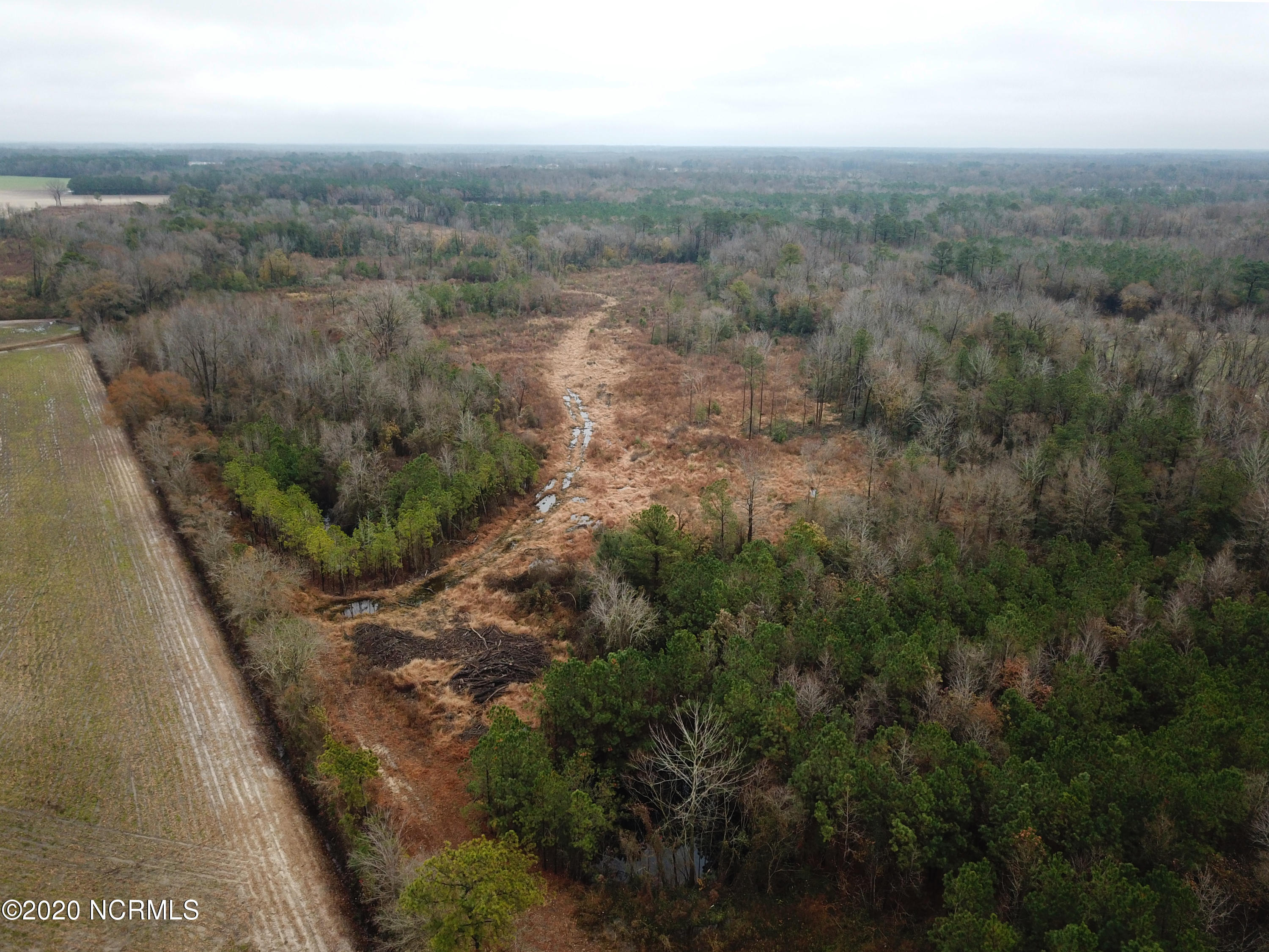 0 Outlaws Bridge Road Albertson, NC 28508 - Photo 4 of 17 4