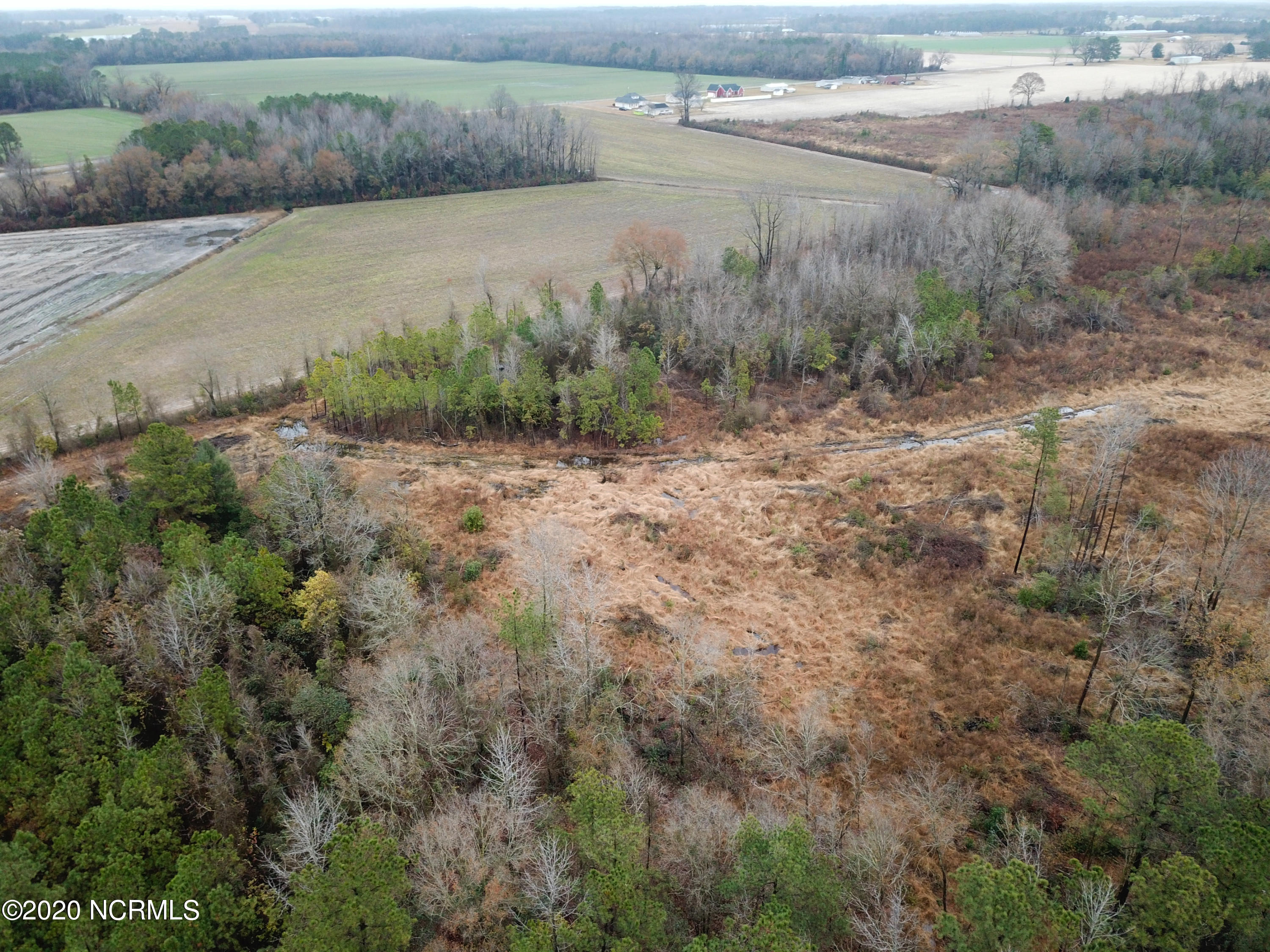 0 Outlaws Bridge Road Albertson, NC 28508 - Photo 5 of 17 5