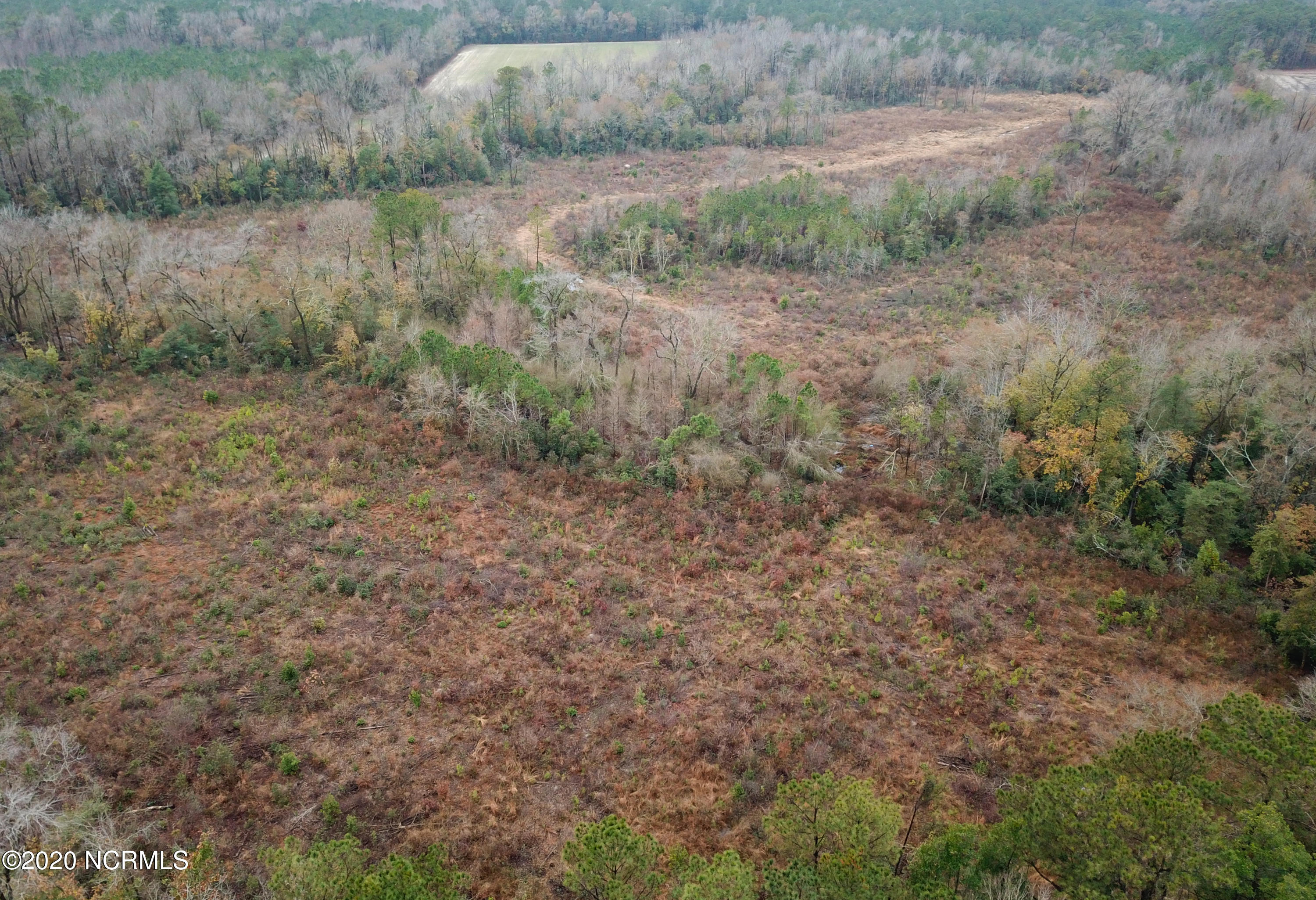 0 Outlaws Bridge Road Albertson, NC 28508 - Photo 6 of 17 6