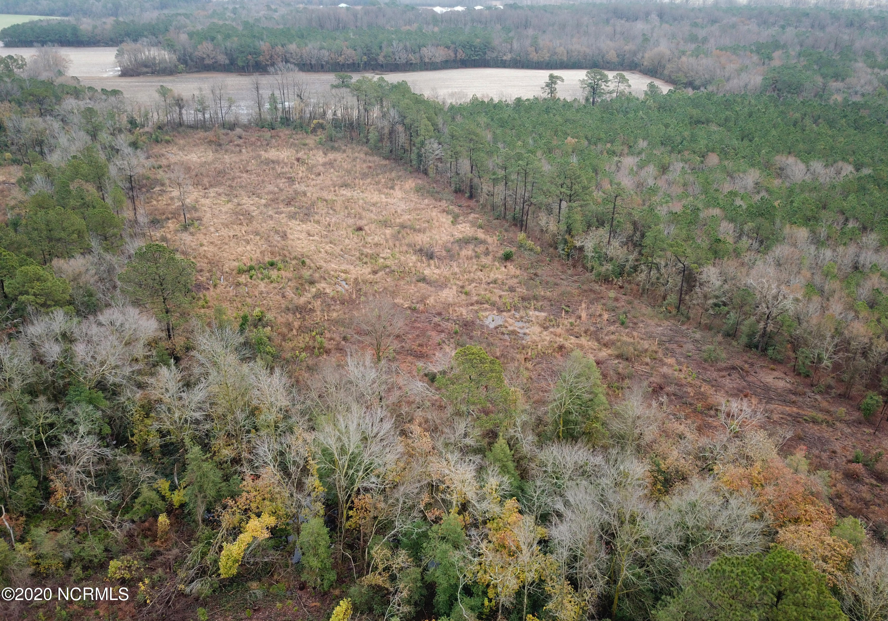 0 Outlaws Bridge Road Albertson, NC 28508 - Photo 7 of 17 7
