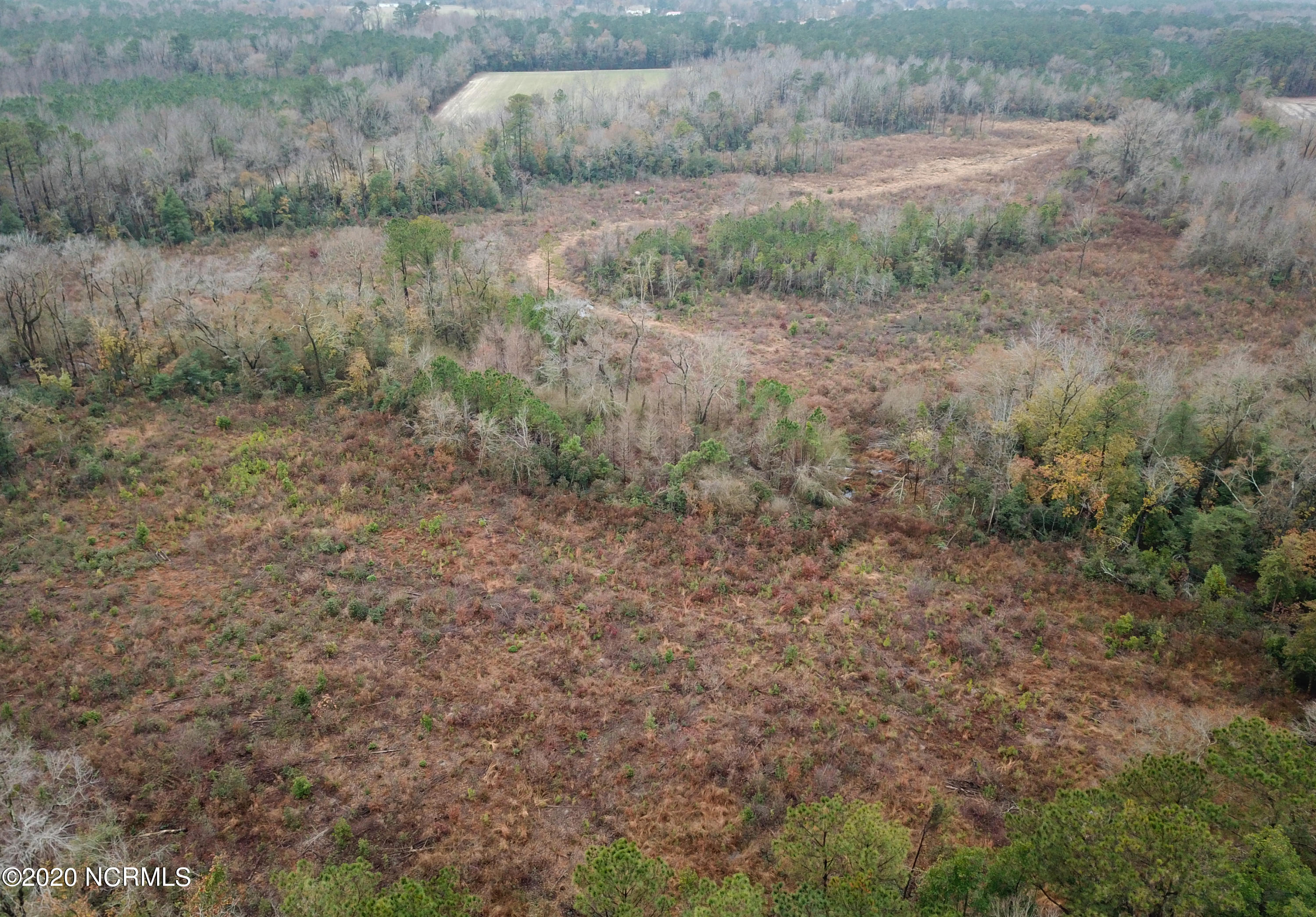 0 Outlaws Bridge Road Albertson, NC 28508 - Photo 8 of 17 8