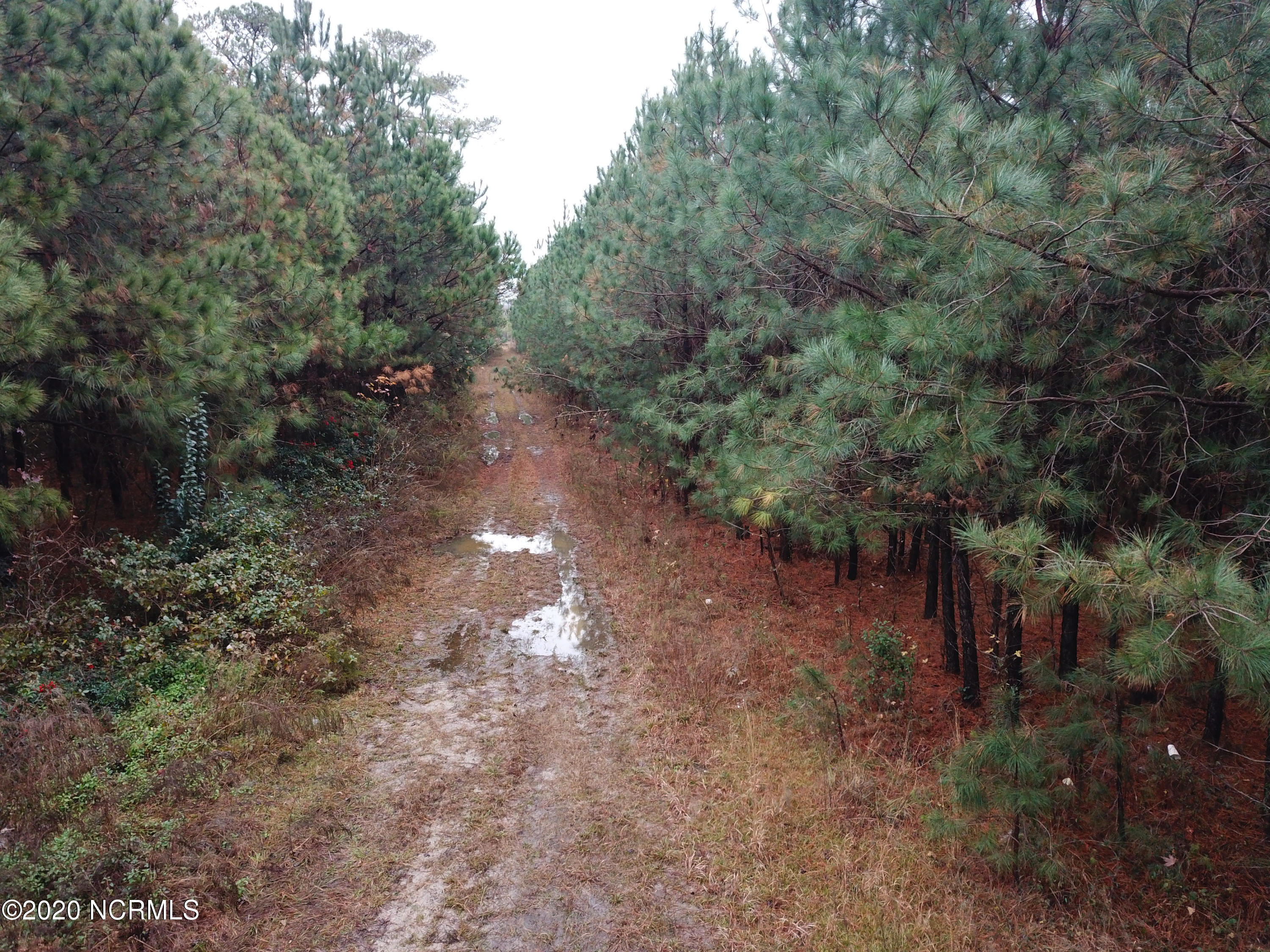 0 Outlaws Bridge Road Albertson, NC 28508 - Photo 10 of 17 10