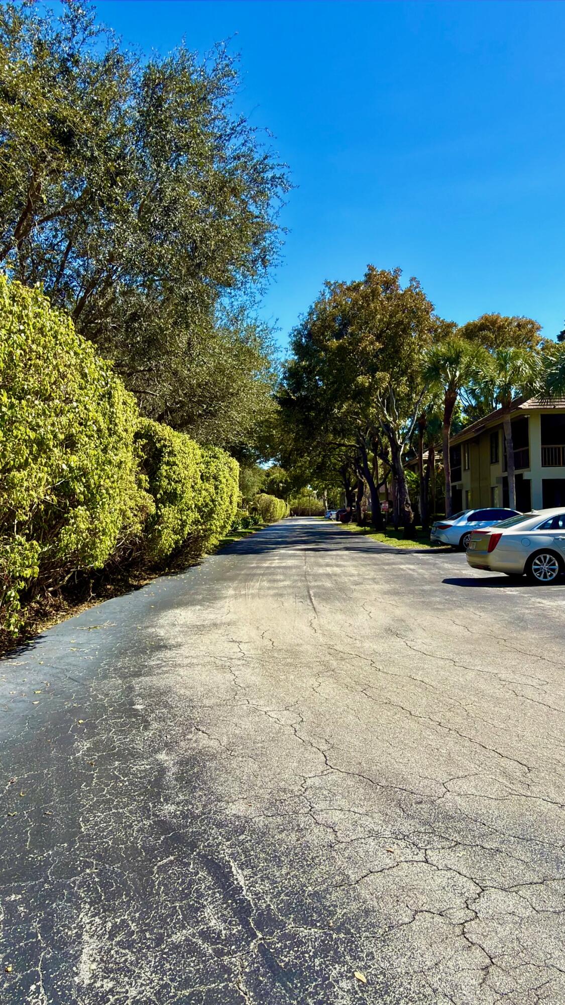 159 Northwest 70th Street, Unit 518 Boca Raton, FL 33487 - Photo 9 of 15 Tree City at Banyan Cts