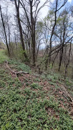 $69,900 | 25 Harbor Pointe Drive, Silver Point, TN 38582