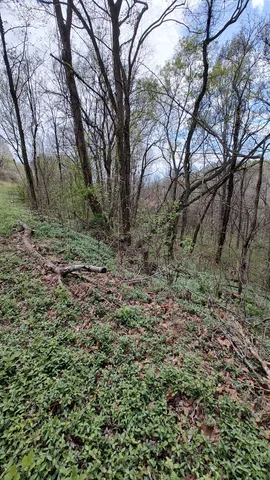 $69,900 | 25 Harbor Pointe Drive, Silver Point, TN 38582