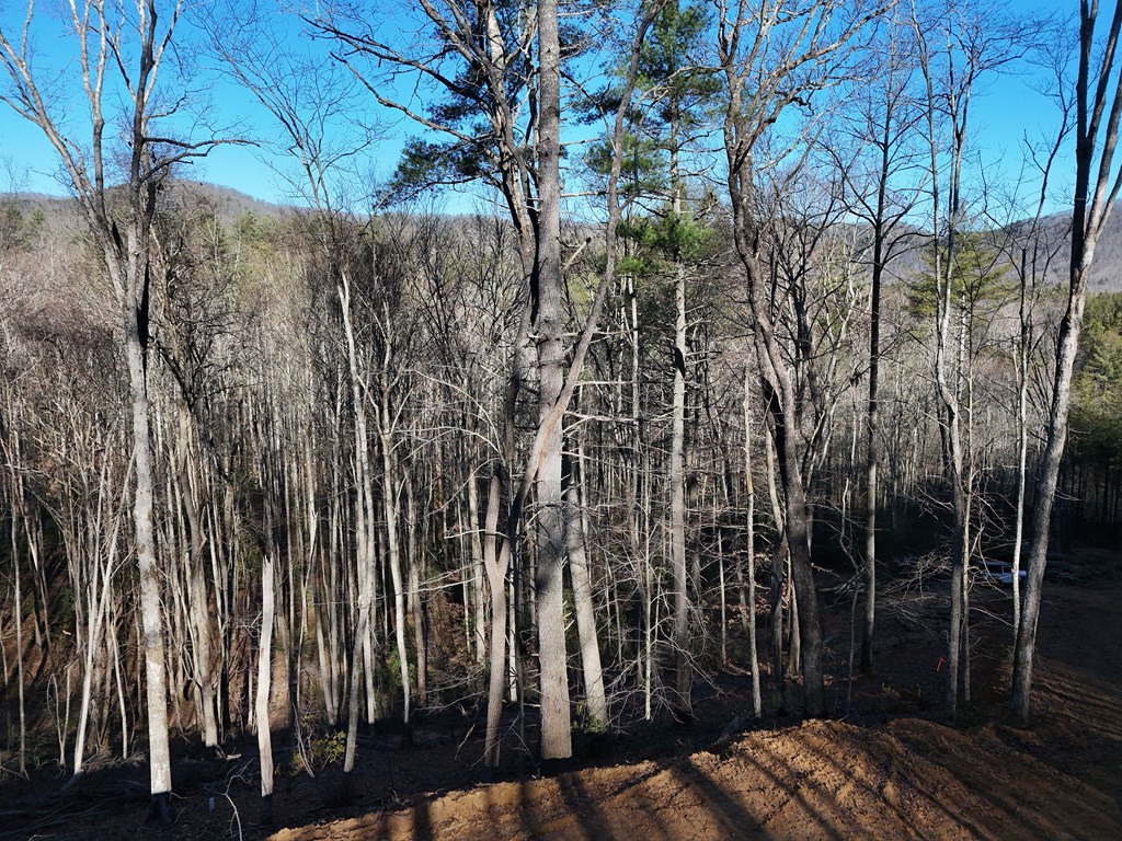 5-acres Hells Holw Way Blue Ridge, GA 30513 - Photo 20 of 43 Gallery Image 20