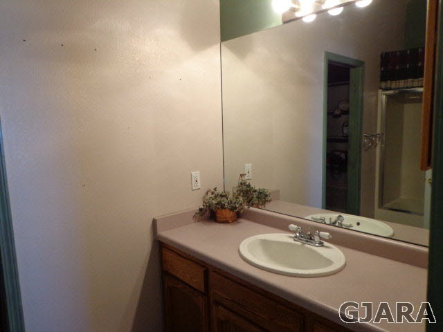 1809 L Road Fruita, CO 81521 - Photo 10 of 19 a bathroom with a sink and a mirror