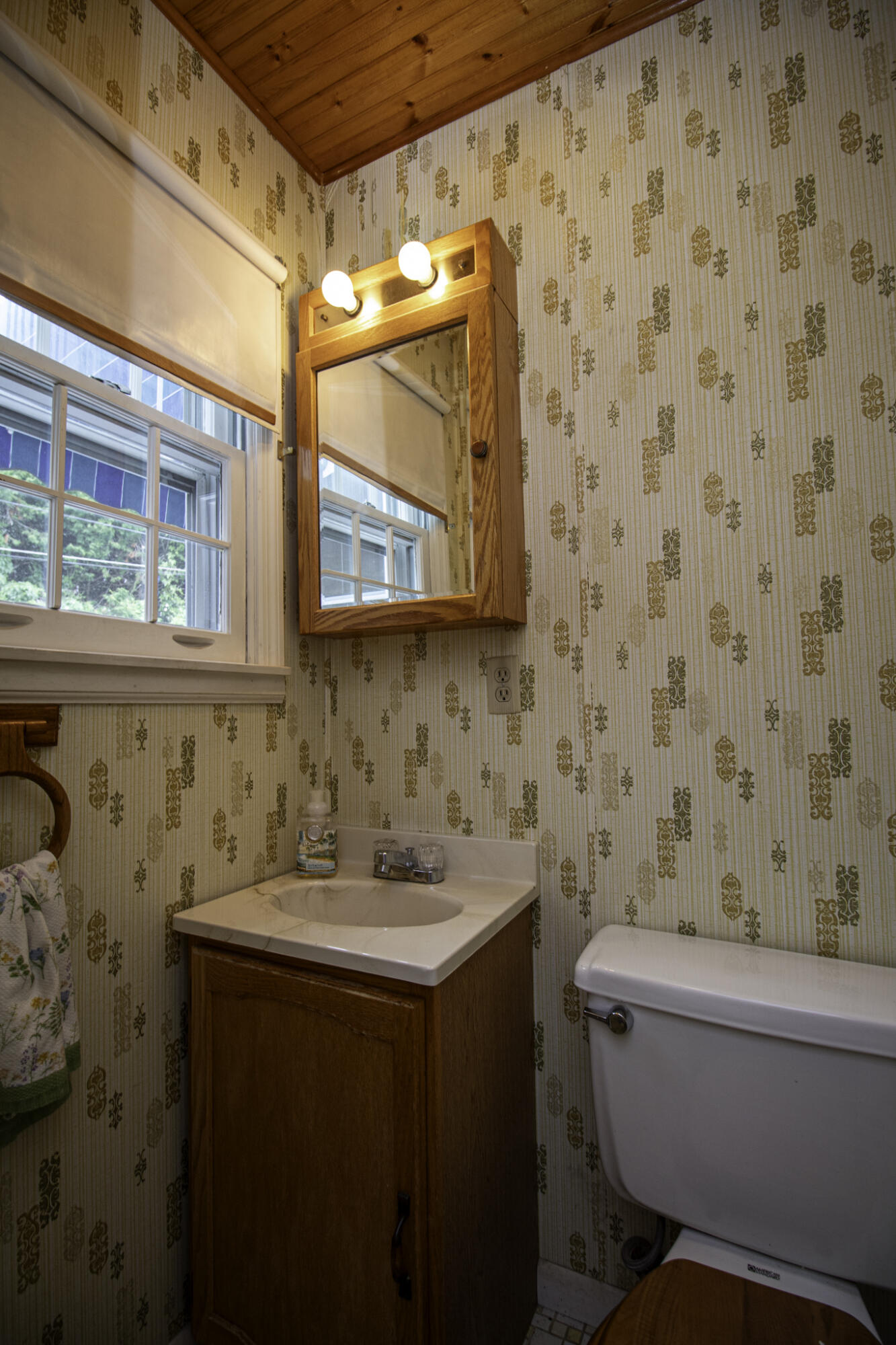 31 Addoms Street Plattsburgh, NY 12901 - Photo 12 of 27 Gallery Image 12
