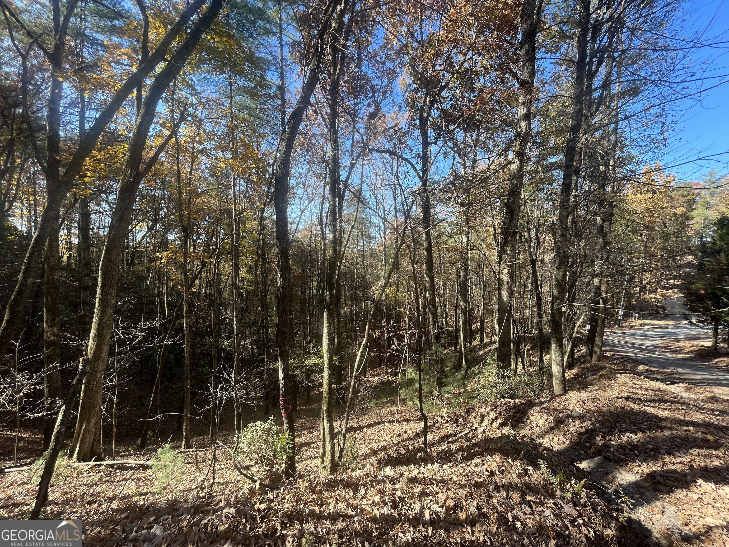 0 River Bend Road Ellijay, GA 30540 - Photo 1 of 1 Gallery Image 1
