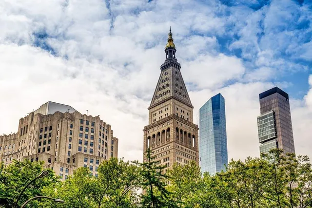 a view of a park with large trees