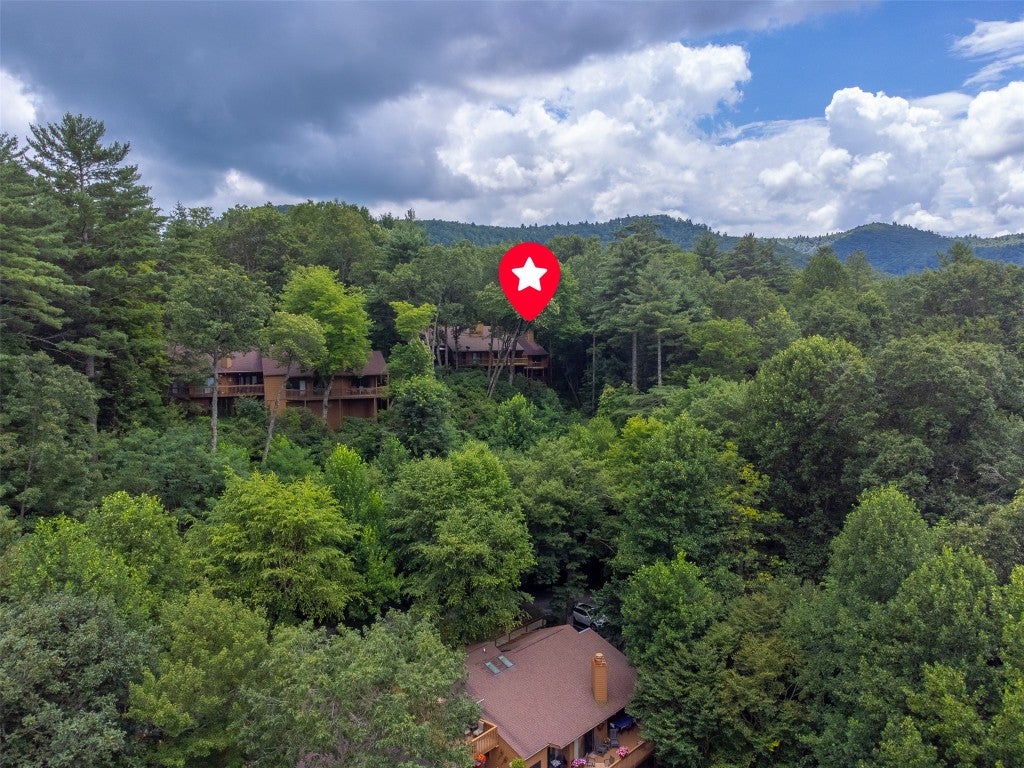 122 Emerald Ridge Road, Unit 45 Sapphire, NC 28774 - Photo 39 of 46 Drone view of unit