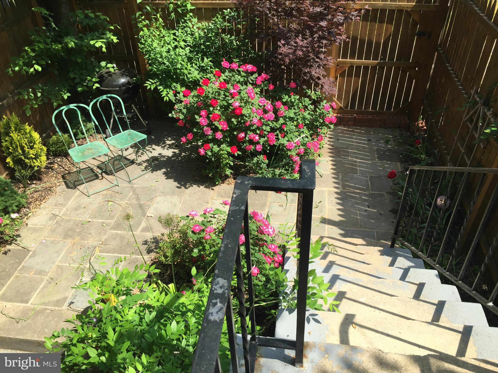 1632 Rosedale Street Northeast Washington, DC 20002 - Photo 11 of 30 Garden