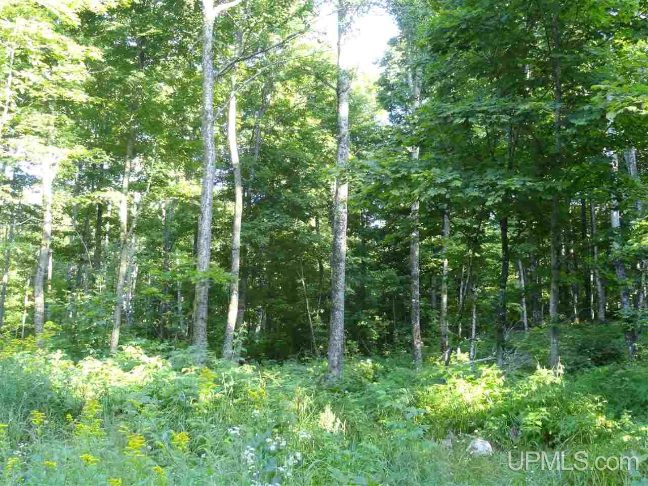 80 NORTH Off Co Road Ishpeming, MI 49849 - Photo 7 of 19
