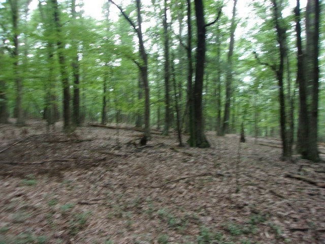Tbd Old Barrett Road Ennice, NC 28623 - Photo 9 of 12 Gallery Image 9