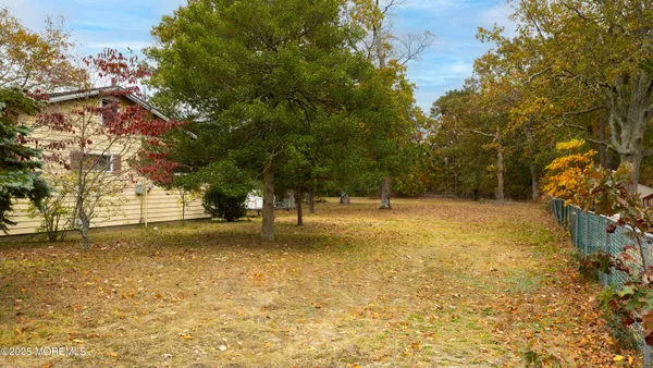 a view of yard with trees
