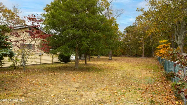 a view of yard with trees