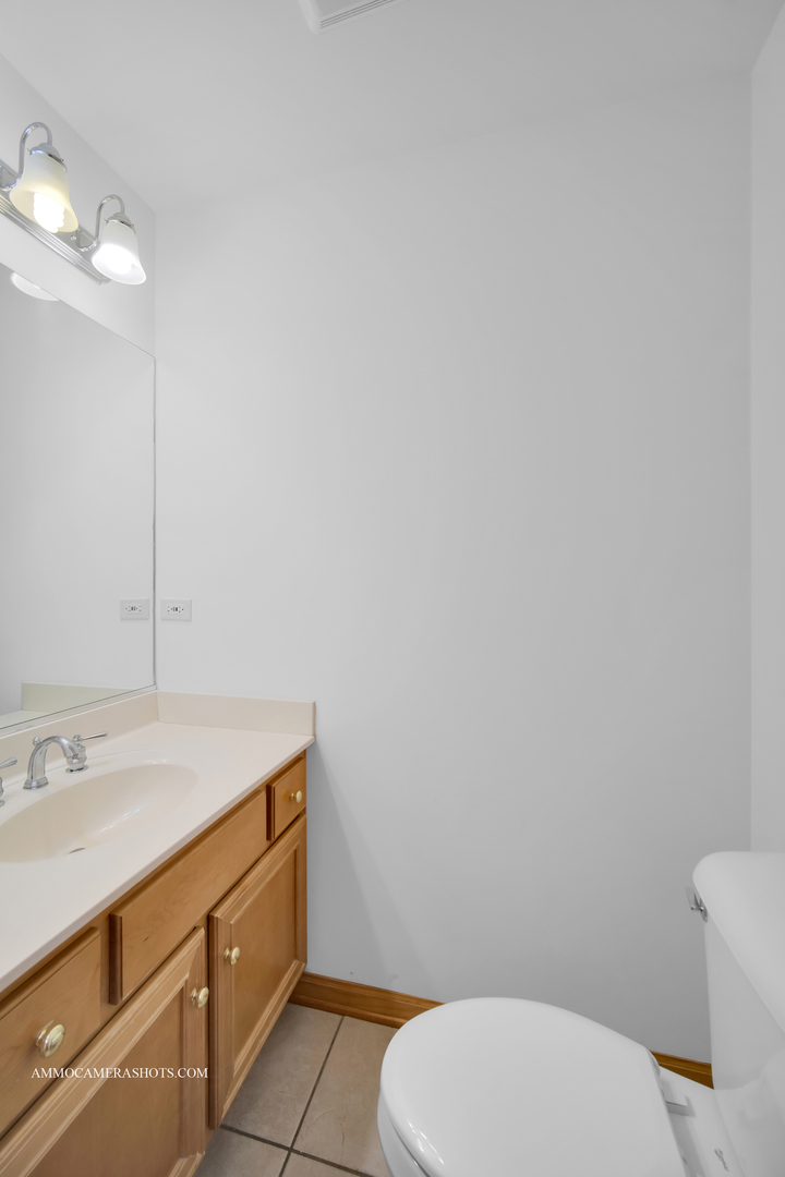 255 West Harrison Road Lombard, IL 60148 - Photo 28 of 36 a bathroom with a sink a toilet and mirror