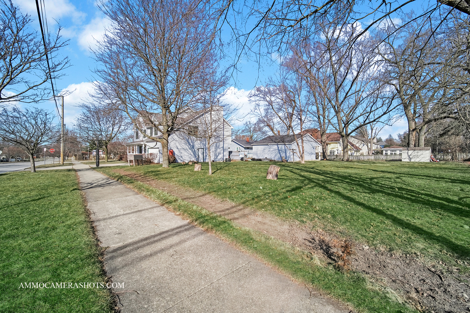 255 West Harrison Road Lombard, IL 60148 - Photo 3 of 36 a view of a park with large trees
