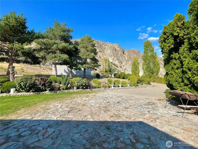 a view of a yard with a tree