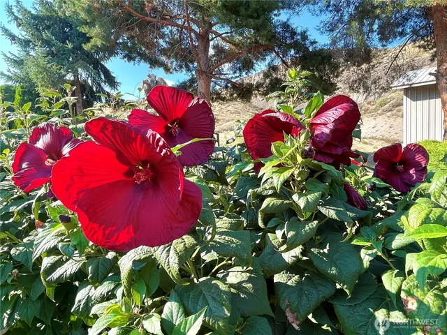 a kitchen with stainless steel appliances a stove top oven a sink a refrigerator cabinets and wooden floor