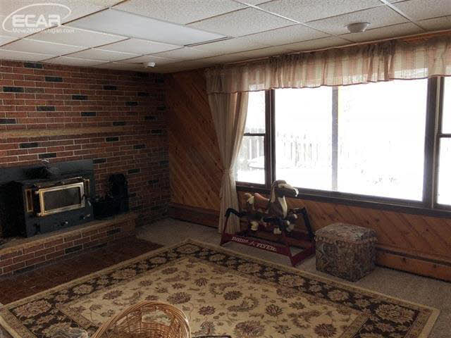 10710 Lehring Road Byron, MI 48418 - Photo 22 of 33 21408977-21.JPG