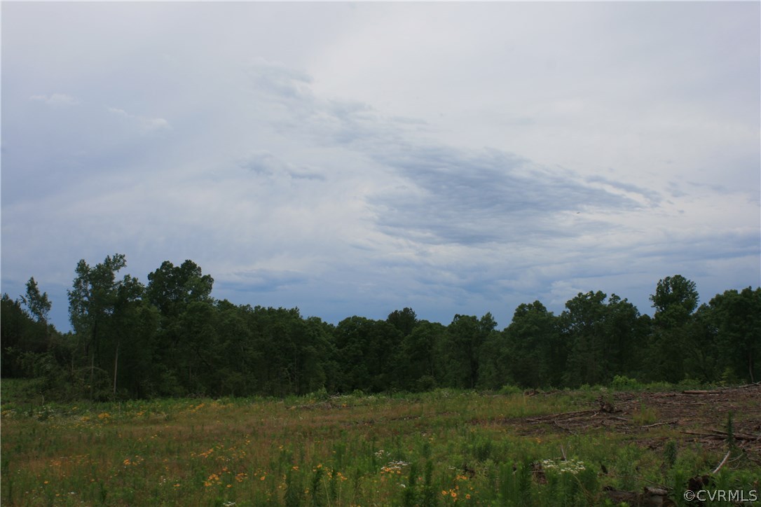 0 Bulls Bluff Road Columbia, VA 23038 - Photo 13 of 21 Gallery Image 13