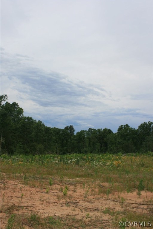 0 Bulls Bluff Road Columbia, VA 23038 - Photo 18 of 21 Gallery Image 18