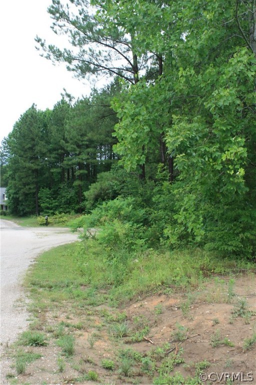 0 Bulls Bluff Road Columbia, VA 23038 - Photo 3 of 21 Gallery Image 3